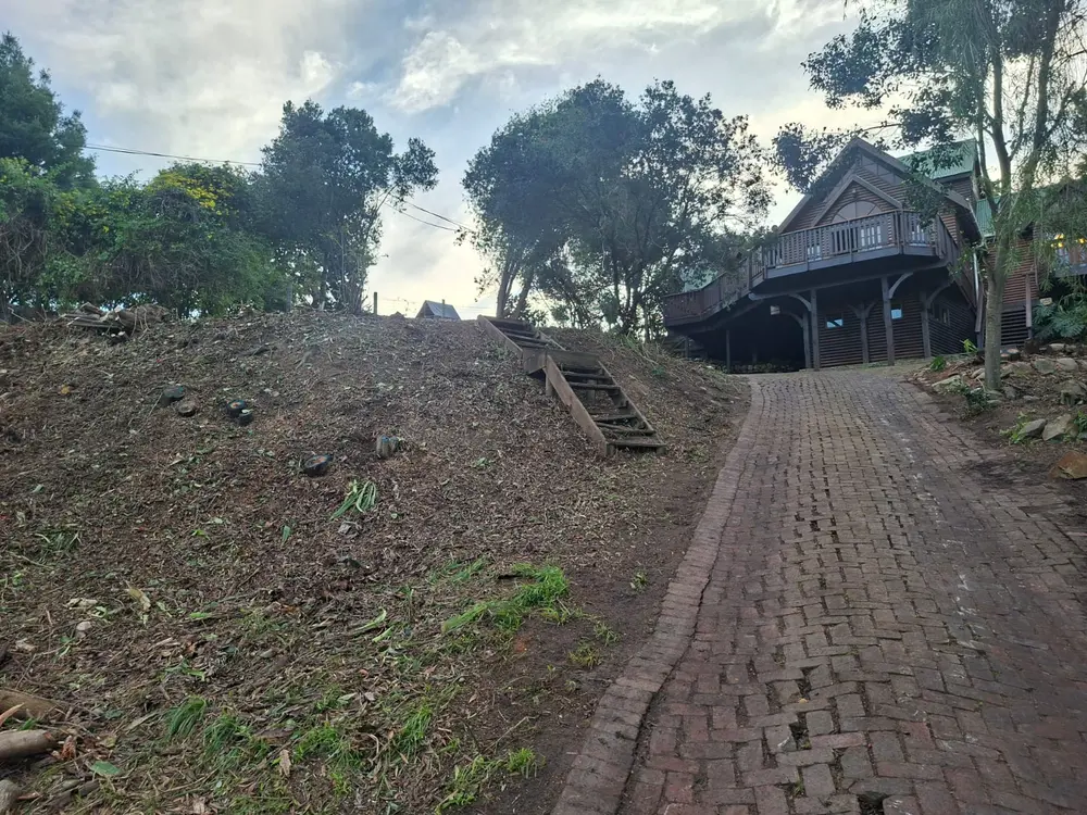 Cleared hillside plot after Cut and Clear service
