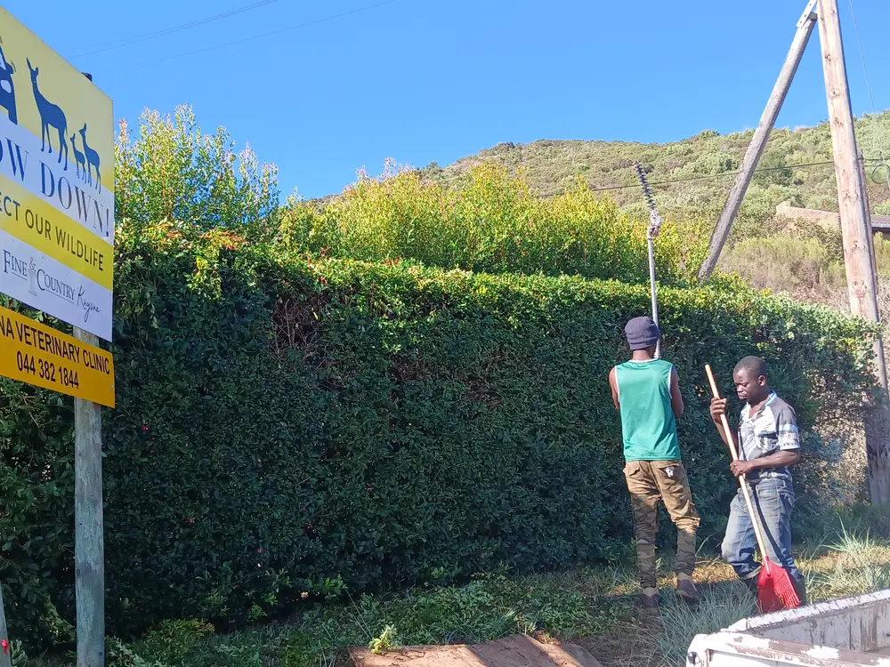 The Cut and Clear crew trimming a hedge on a maintenance job